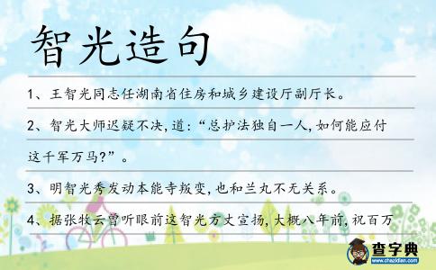 智光造句