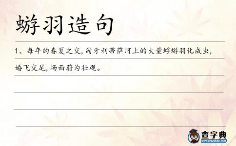 蝣羽造句