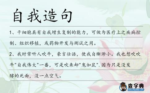 自我造句