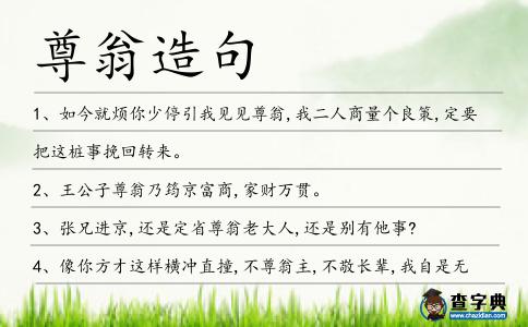 尊翁造句