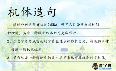 機體造句