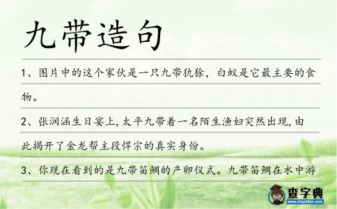 九帶造句
