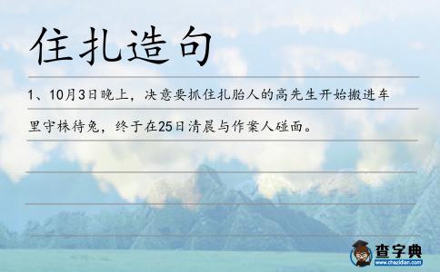 住扎造句