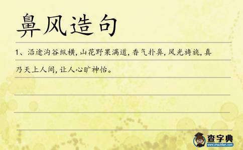 鼻風(fēng)造句