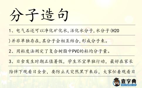 分子造句