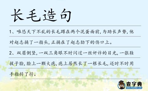 長毛造句