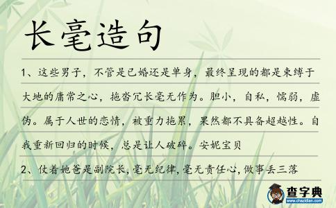 長毫造句