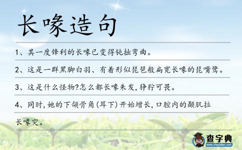 長喙造句