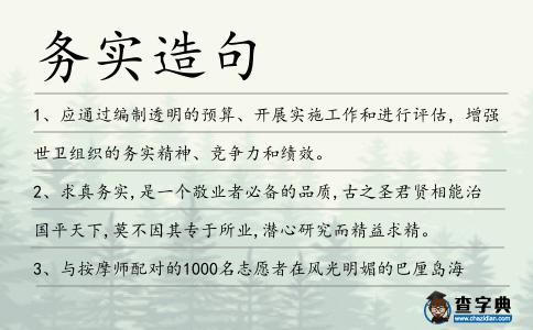 務(wù)實(shí)造句