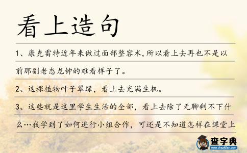 看上造句