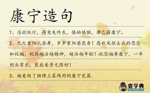 康寧造句