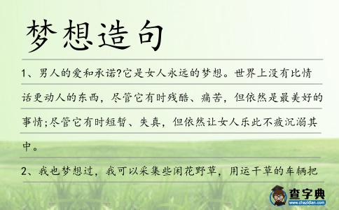 夢(mèng)想造句