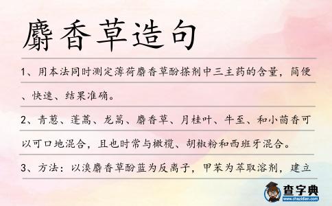 麝香草造句