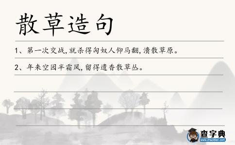 散草造句