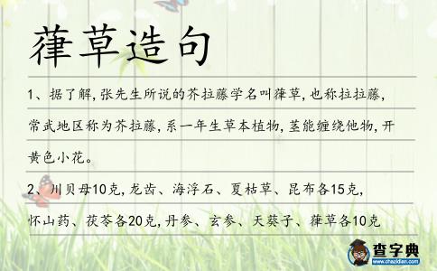 葎草造句