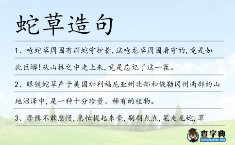 蛇草造句