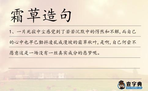 霜草造句
