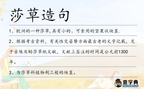 莎草造句