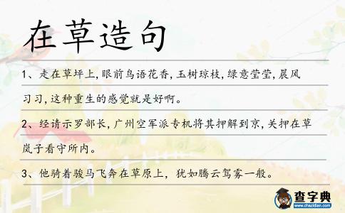 在草造句