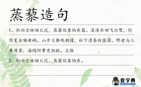 蒸藜造句