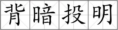 背暗投明