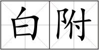 白附