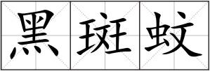 黑斑蚊