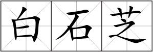 白石芝
