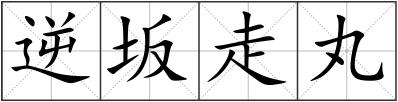 逆坂走丸