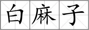 白麻子