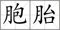 胞胎