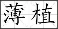 薄植