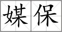 媒保