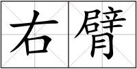 右臂