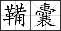 鞴囊