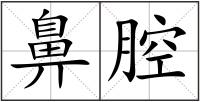 鼻腔