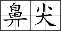 鼻尖
