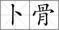 卜骨