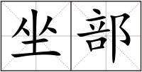 坐部