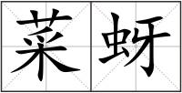 菜蚜