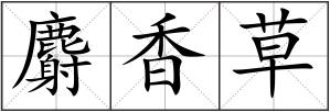 麝香草