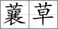 蘘草