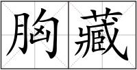 胸藏