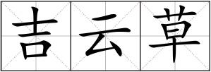 吉云草