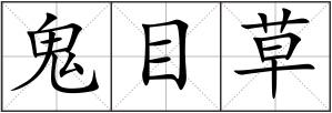 鬼目草