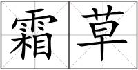 霜草