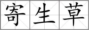 寄生草