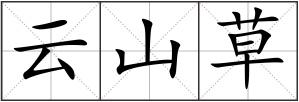 云山草