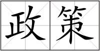 政策