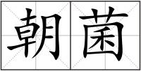 朝菌